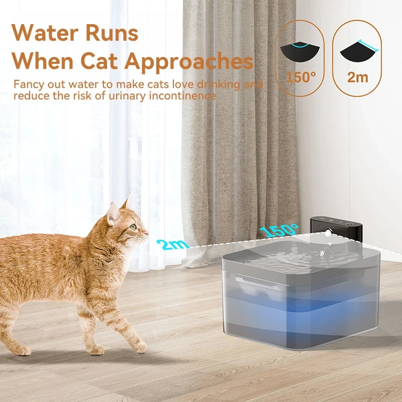 Fontaine à Eau Sans Fil pour Chat