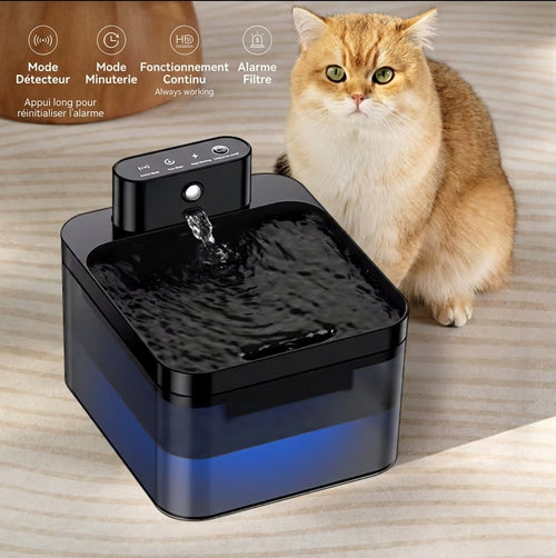 Fontaine à eau sans fil pour chat avec capteur infrarouge