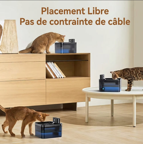 Fontaine pour chat sans fil à placer où l'on veut dans la maison